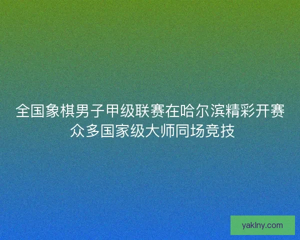 全国象棋男子甲级联赛在哈尔滨精彩开赛 众多国家级大师同场竞技