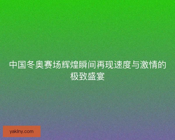 中国冬奥赛场辉煌瞬间再现速度与激情的极致盛宴