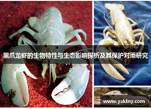 黑爪龙虾的生物特性与生态影响探析及其保护对策研究