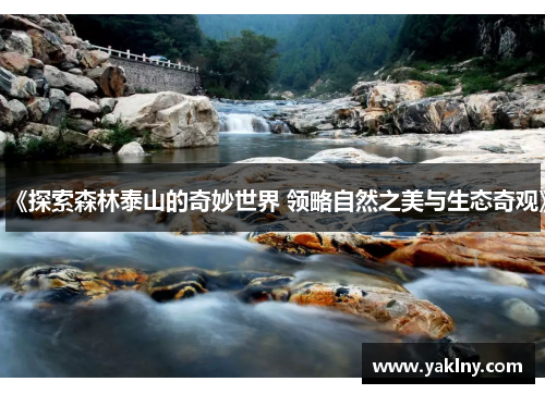 《探索森林泰山的奇妙世界 领略自然之美与生态奇观》