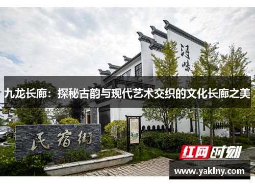 九龙长廊：探秘古韵与现代艺术交织的文化长廊之美